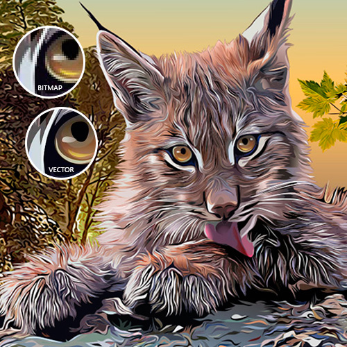 500x500 Raster To Vector Convert Bmp, And More To Vector