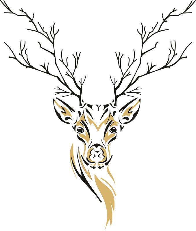 678x800 Deer Sketch Free Vector Coreldraw Vector Free Download