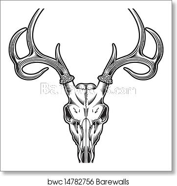 362x382 Deer Skull Vector, Art Print Barewalls Posters Prints