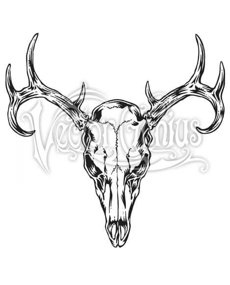 468x580 Hunting Buck Deer Animal Skull Stock Art