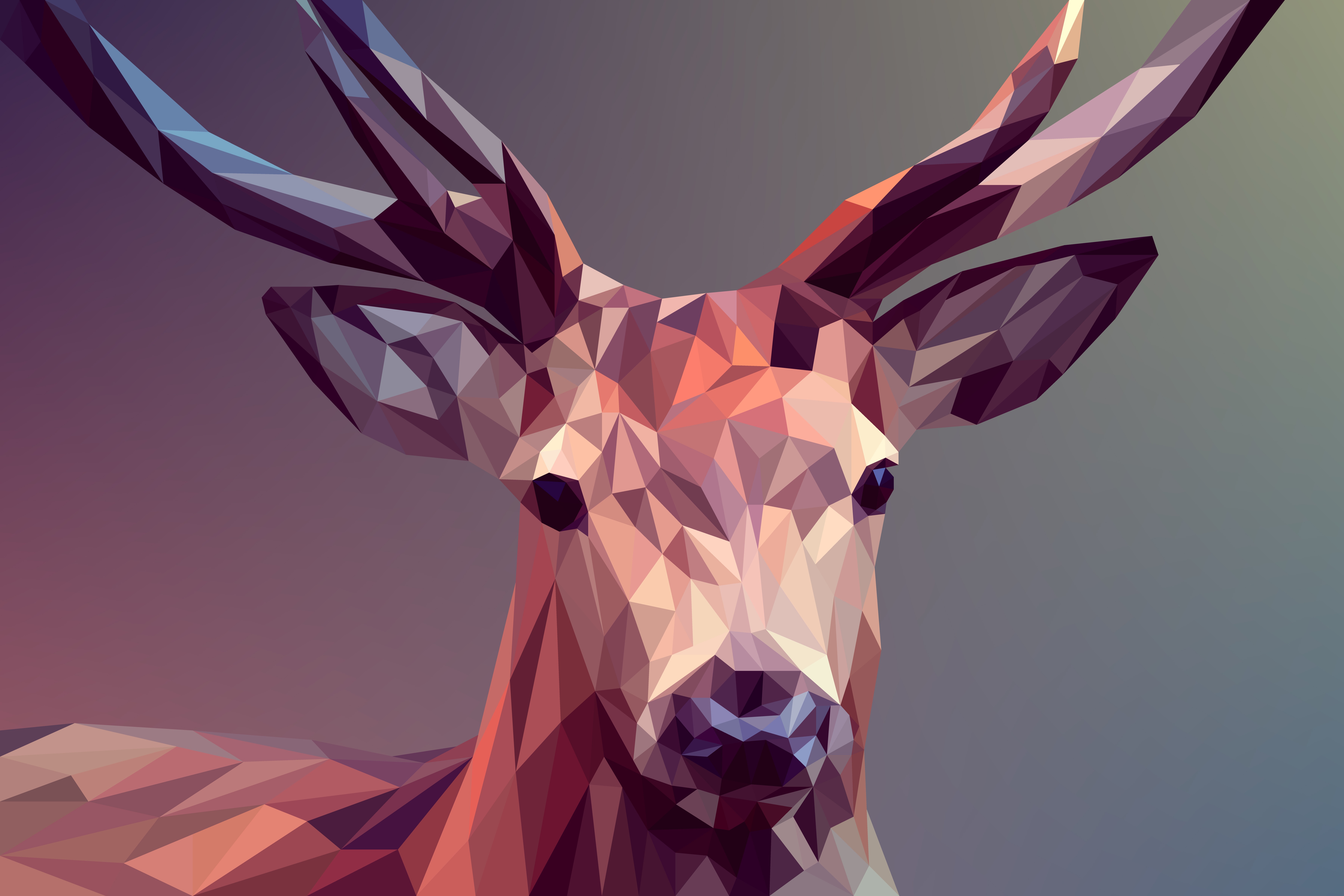 7200x4800 Poly Low Animal Deer Vector Art