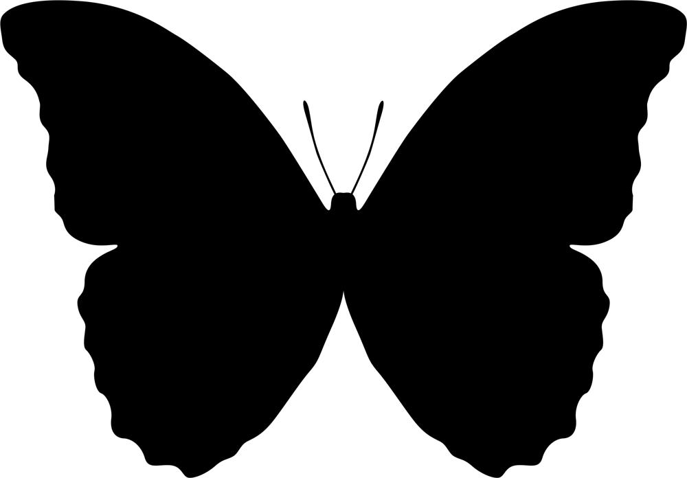 1000x696 Butterfly Vector Art Illustration