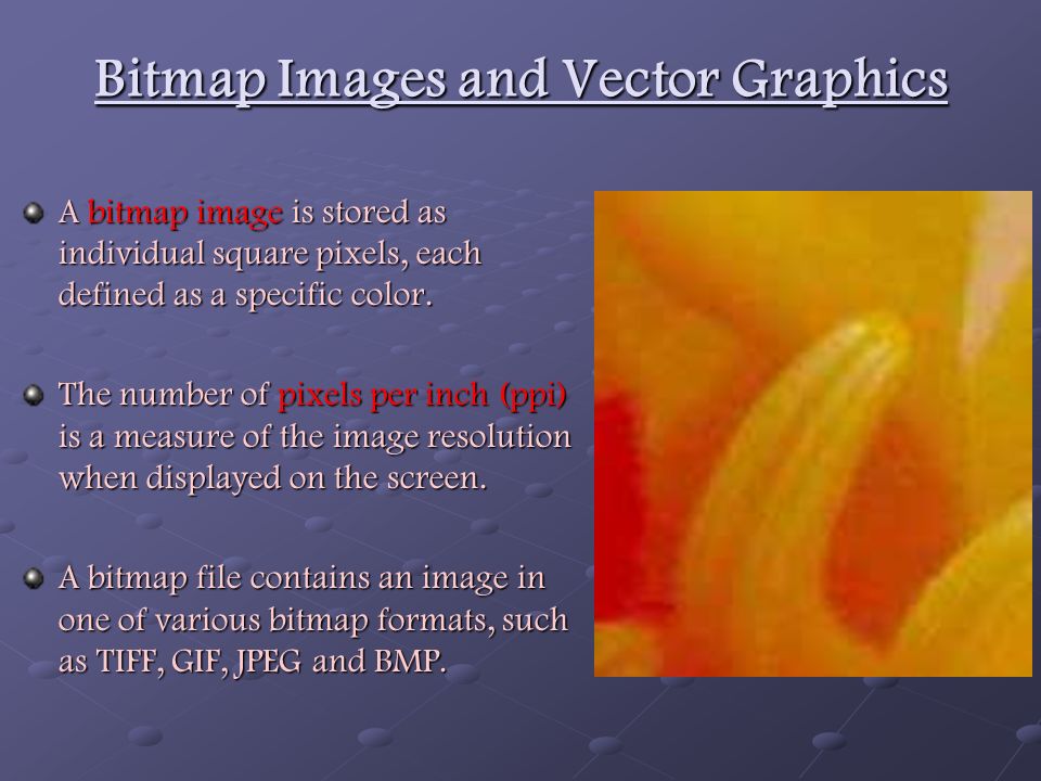 Formats And Vector Graphics Types Images And Data Are 960x720 Formats And Vector Graphics Types Images And Data Are