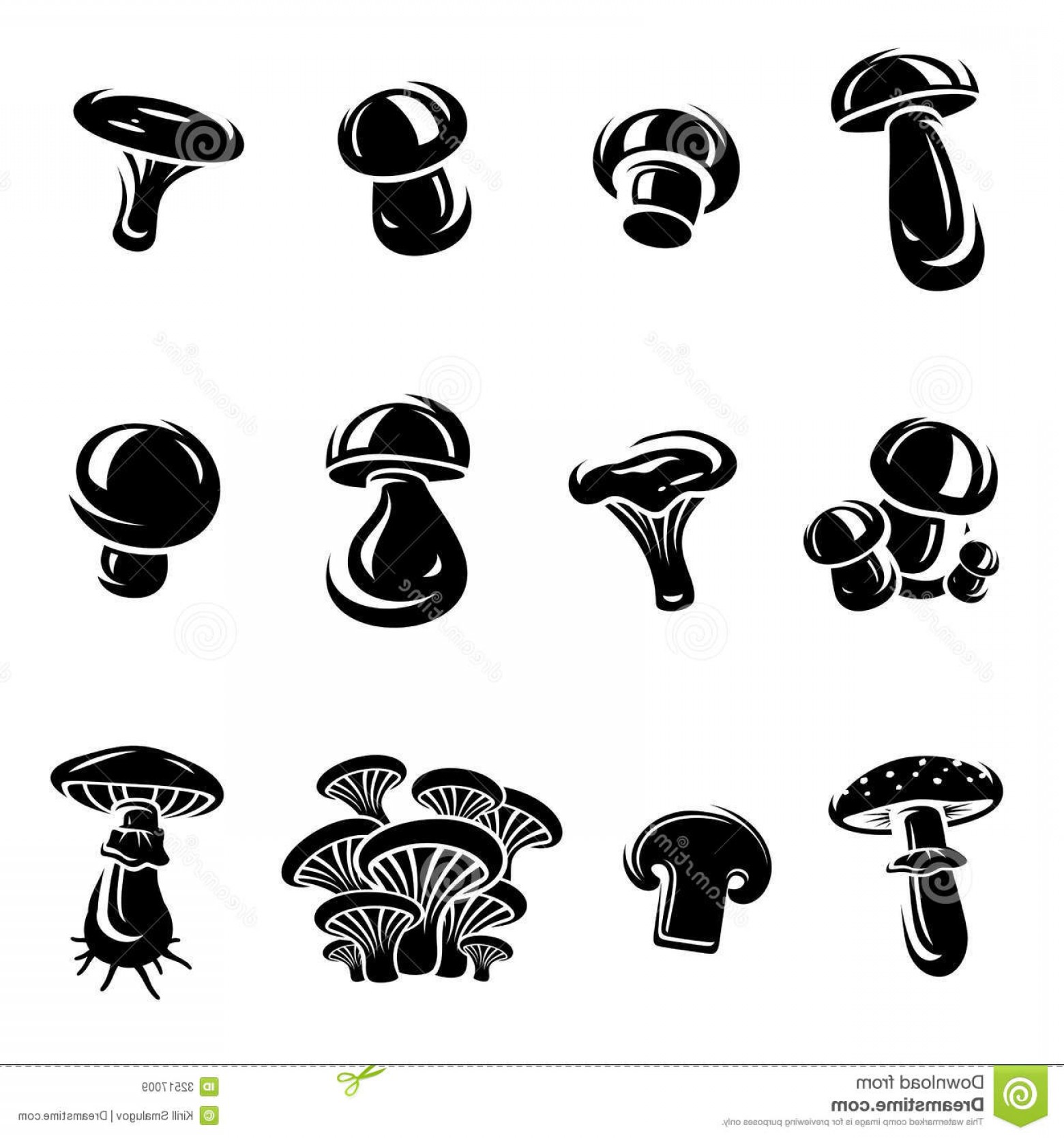 Royalty Free Stock Images Mushroom Set Vector Illustration 1560x1668 Royalty Free Stock Images Mushroom Set Vector Illustration