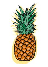 169x235 Pineapple Vector Art Illustration Pineapplee