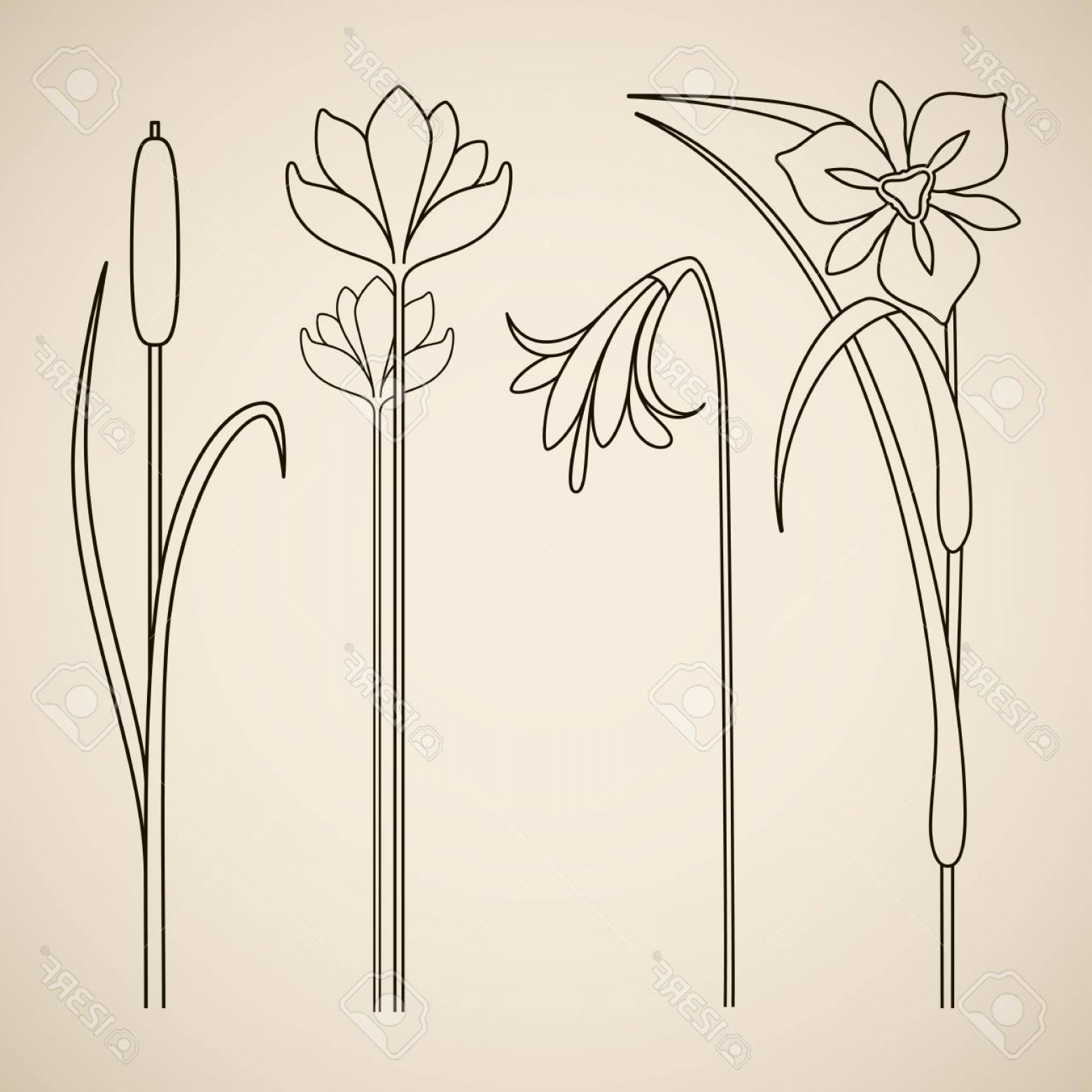 1560x1560 Photostock Vector Vector Art Nouveau Floral Elements For Print