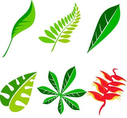 420x389 Free Free Leaf Vector Art Packages Clipart And Vector Graphics