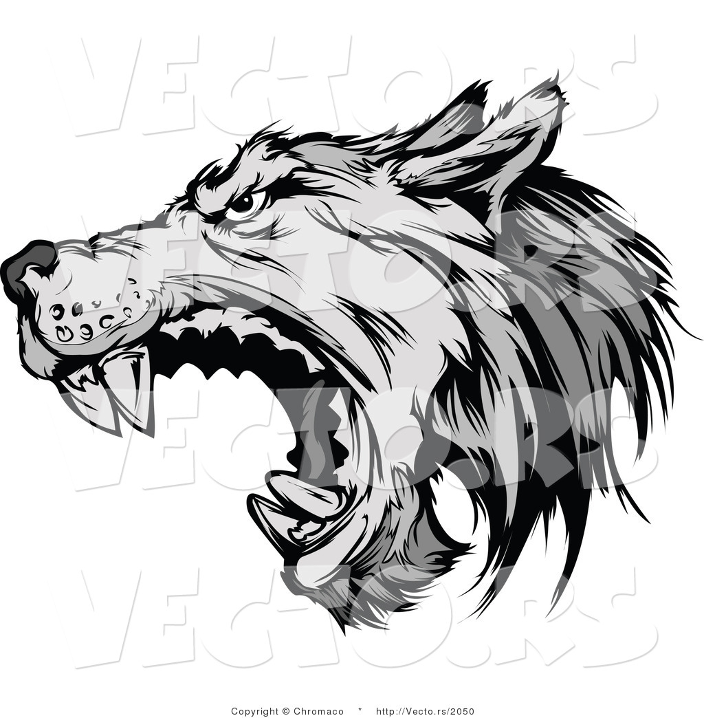 1024x1044 Vector Of A Defensive Gray Wolf Attacking