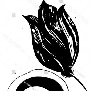 300x300 Silhouette Tulip Flower Vector Artwork Love Cqrecords