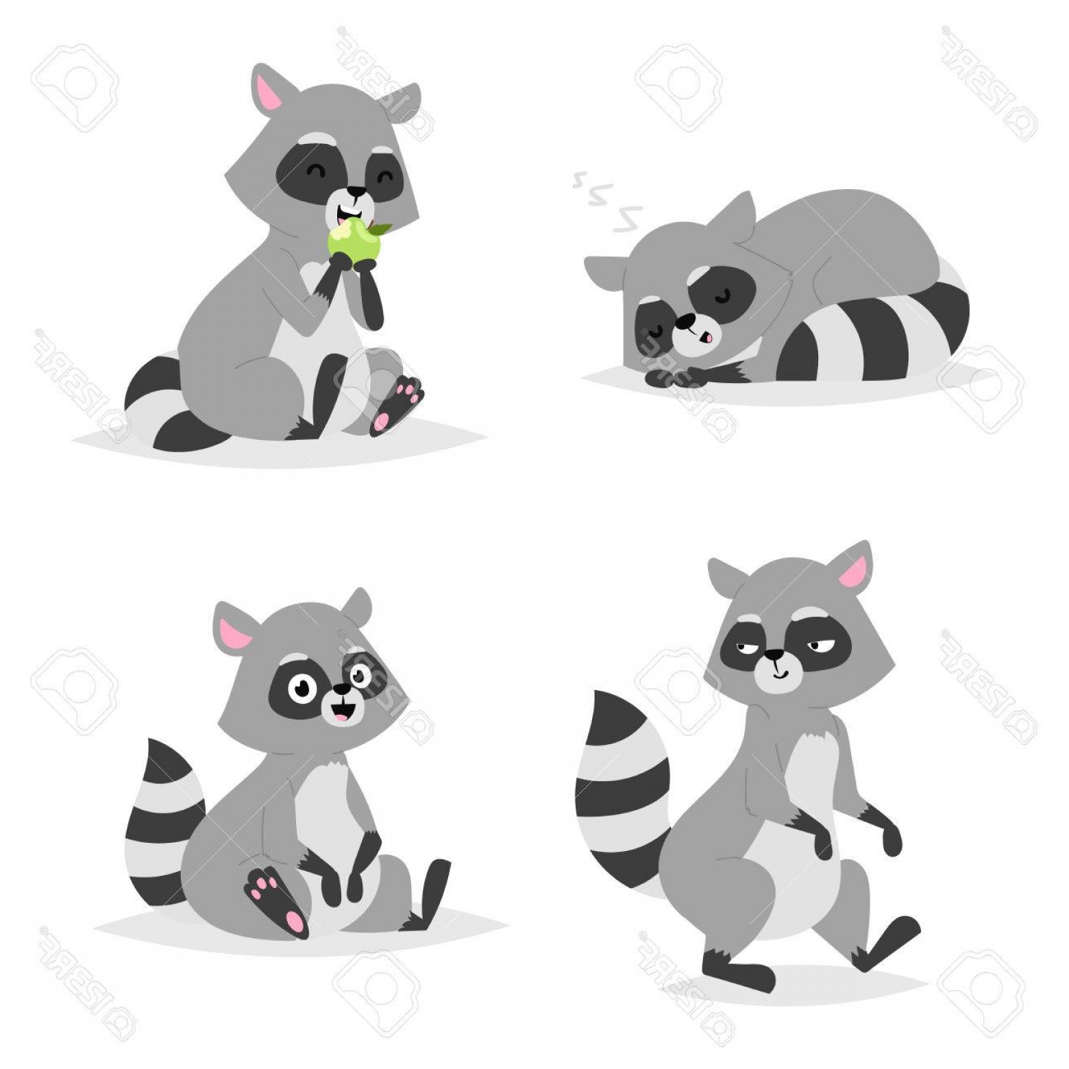 Photostock Vector Standing Raccoon Vector Illustration Cartoon Set 1560x1560 Photostock Vector Standing Raccoon Vector Illustration Cartoon Set