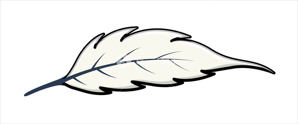 White Leaf 1000x416 White Leaf