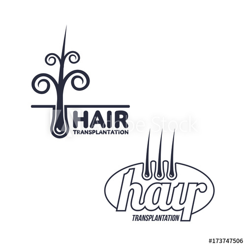 500x500 Two Hair Transplantation Logo, Logotype Templates, Vector