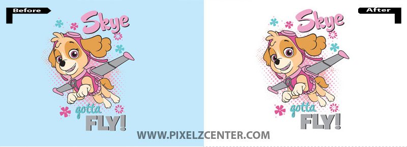 800x290 Raster To Vector Conversion Vector Art Vector Artwork Services