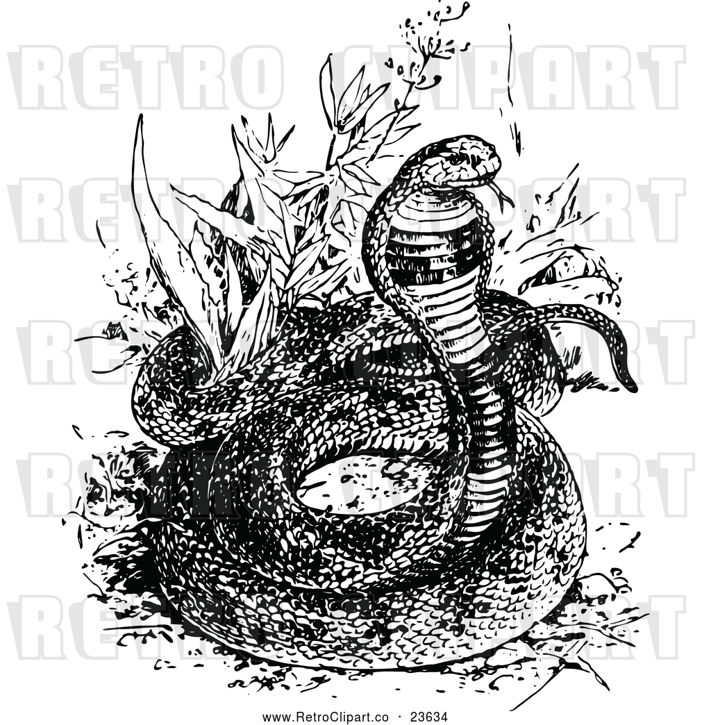 1024x1044 Vector Clip Art Of Retro Asp Snake