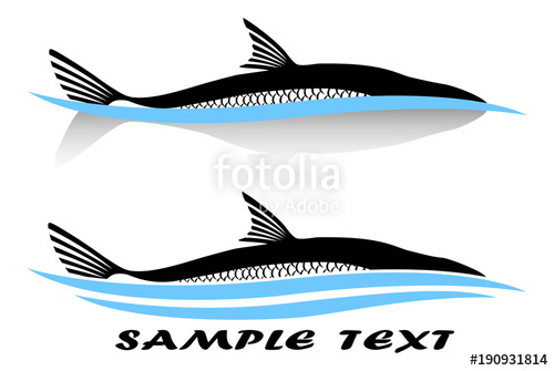 500x335 Asp Fish Logo Stock Image And Royalty Free Vector