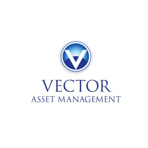 500x500 Vector Asset Management, Gestionnaire De Fonds Chez Binck