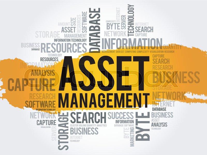 800x600 Asset Management Word Cloud Collage, Stock Vector Colourbox