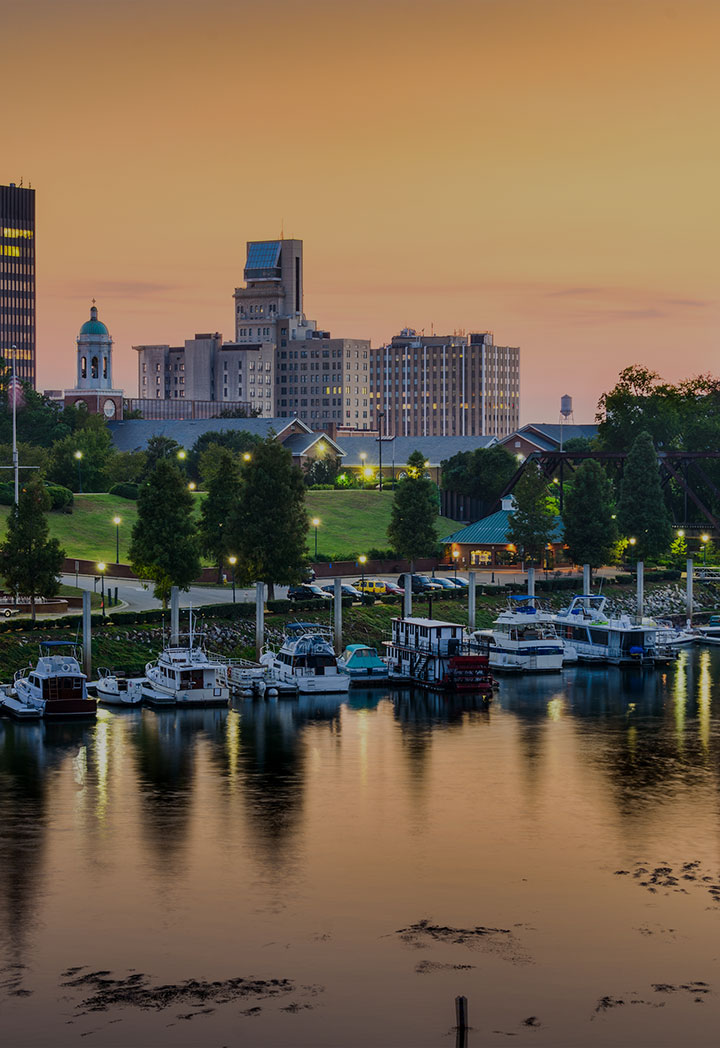 720x1048 Augusta Martinez Home Security Vector Security