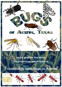 251x350 Bugs Seen In Austin, Texas, Vector Graphics