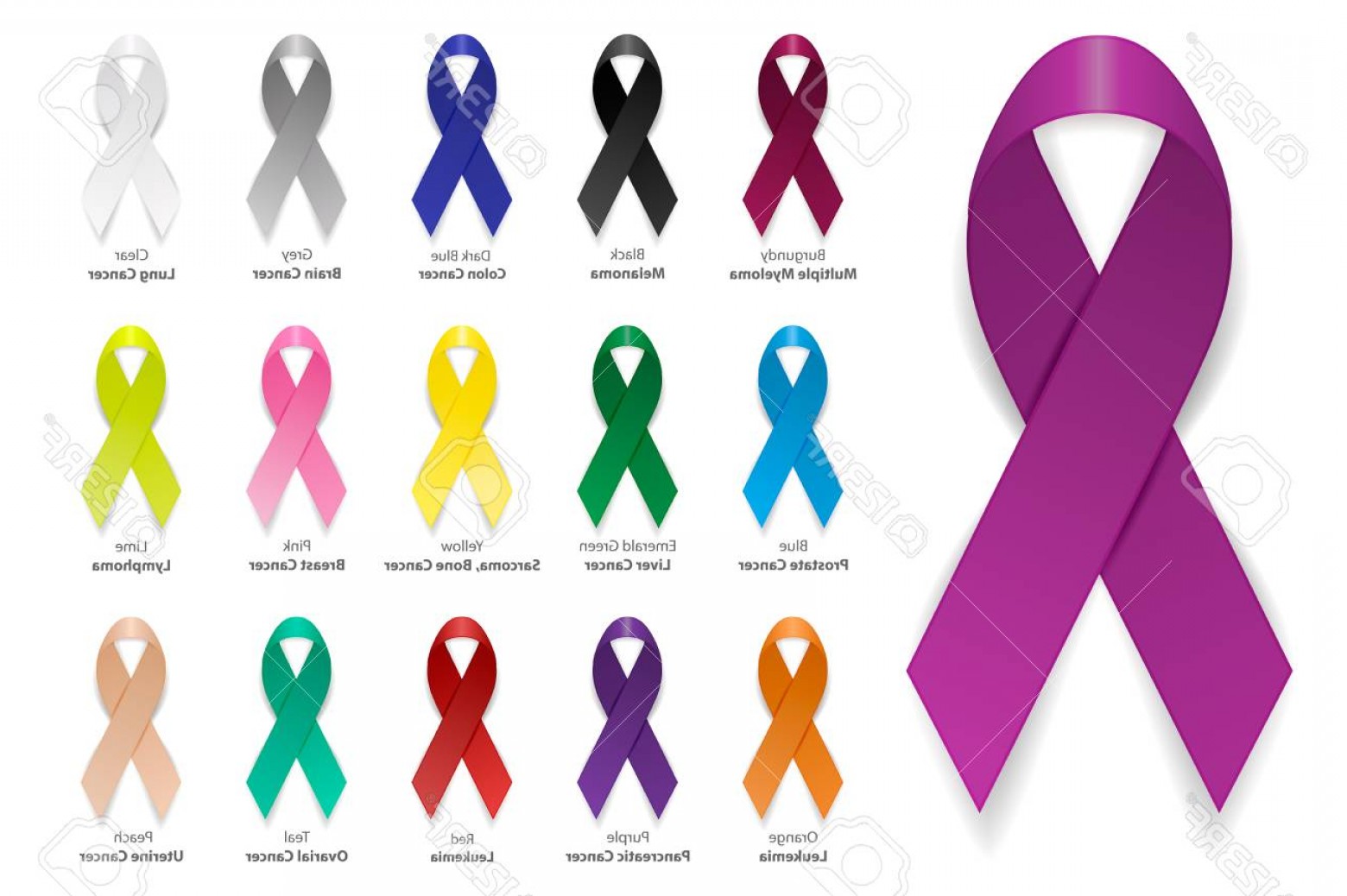 1560x1038 Photostock Vector Cancer Ribbon Vector Realistic D Awareness