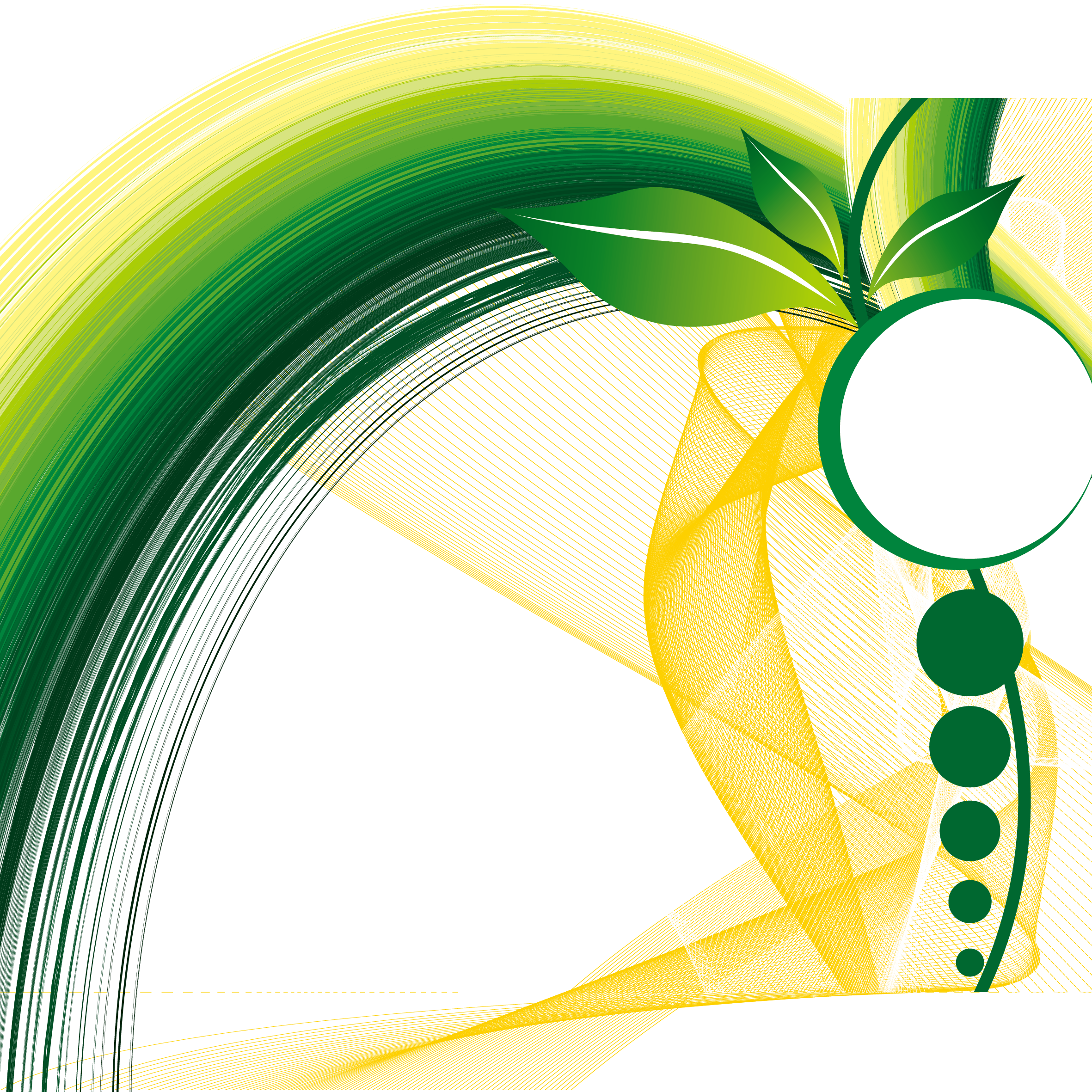 2362x2362 Hd Full Of Spring Leaf Material Transprent Png