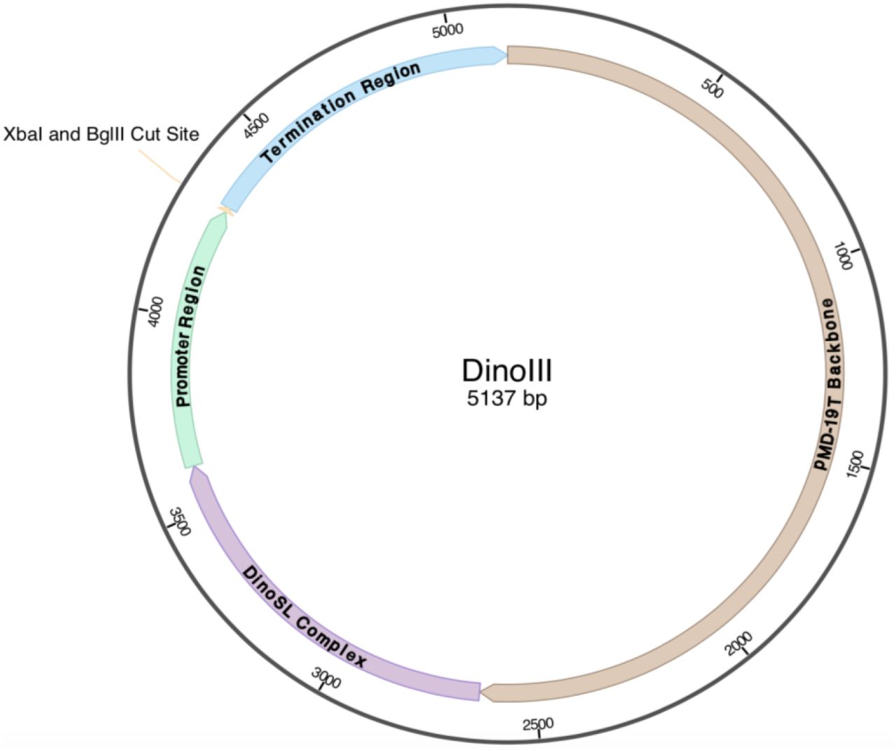 Nuclear Gene Transformation In A Dinoflagellate Biorxiv 1280x1073 Nuclear Gene Transformation In A Dinoflagellate Biorxiv