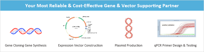 C Ofp Expression Vector Backbone Dna Sequence 698x180 C Ofp Expression Vector Backbone Dna Sequence