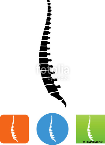 Backbone Icon 362x500 Backbone Icon