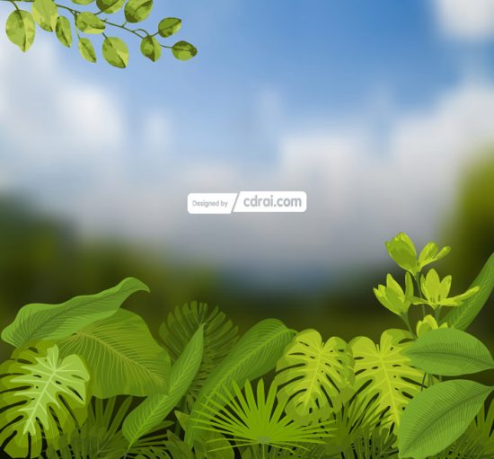 550x511 Vector Background Jungle Free Download