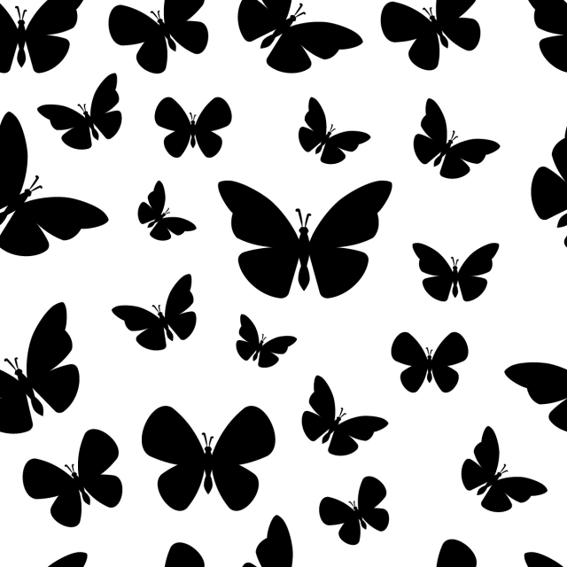 Black And White Butterfly Seamless Patter On White Background 640x640 Black And White Butterfly Seamless Patter On White Background
