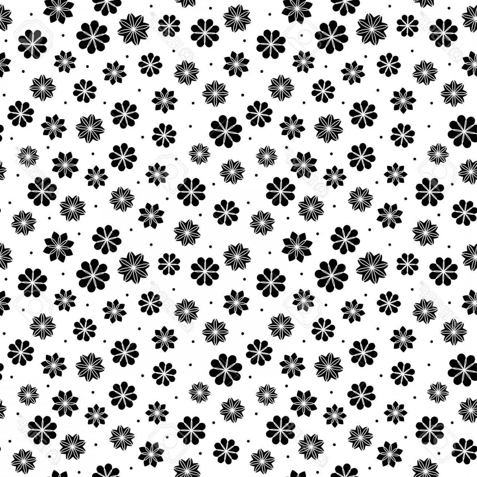 1560x1560 Floral Vector Pattern Transparent Background
