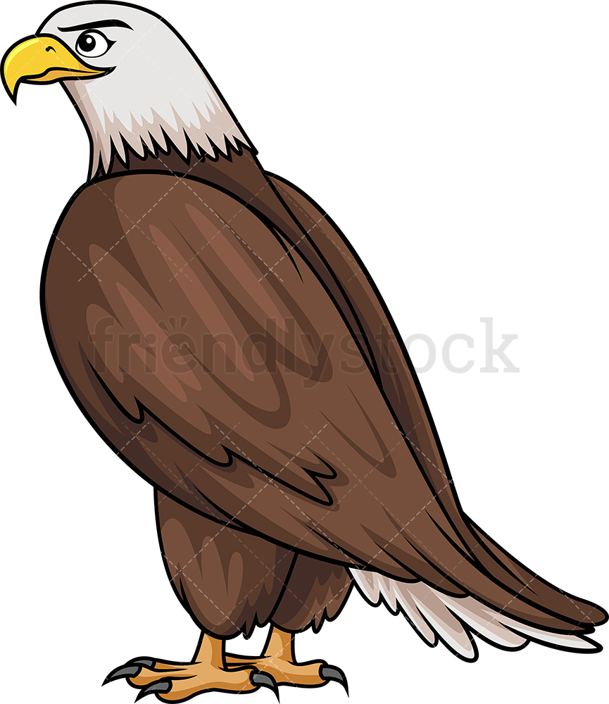 865x1000 Bald Eagle Side View Cartoon Clipart Vector