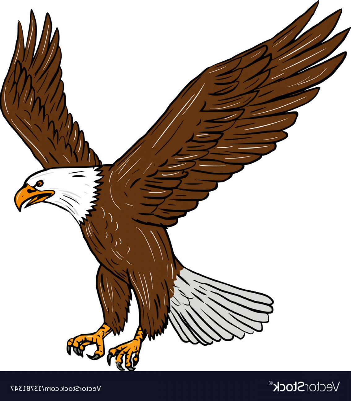 1134x1296 Bald Eagle Vector Newwaysys