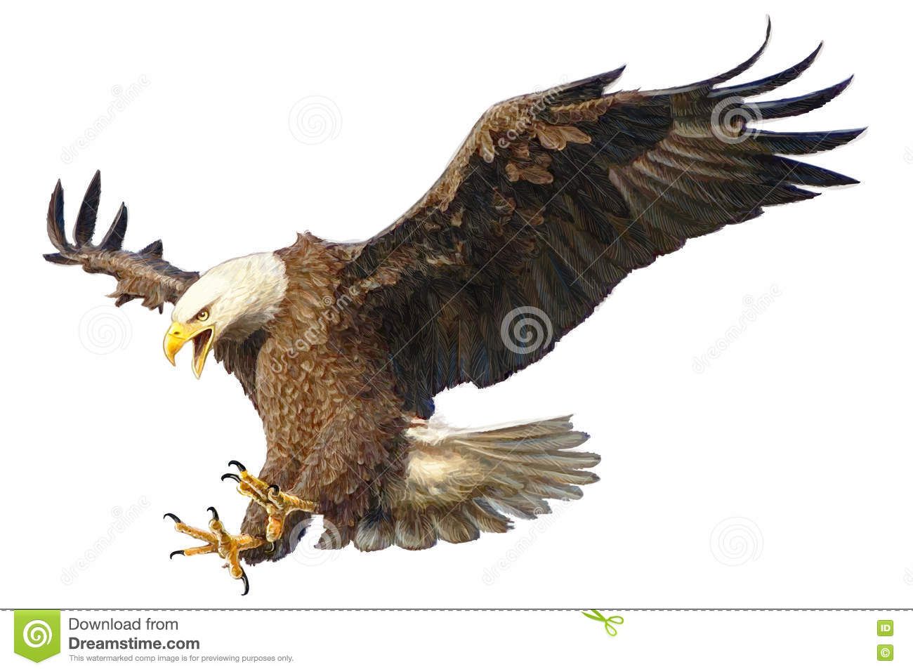 1300x957 Bald Eagle Attack Vector Illustration Mcc In Eagle