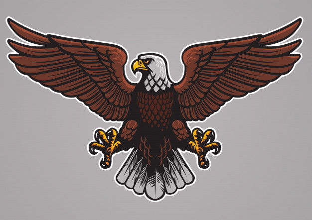 626x442 Bald Eagle Spread The Wings Vector Premium Download