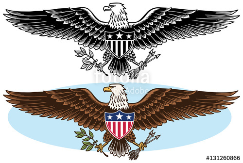 500x336 American Bald Eagle Patriotic Symbol Stock Image And Royalty Free