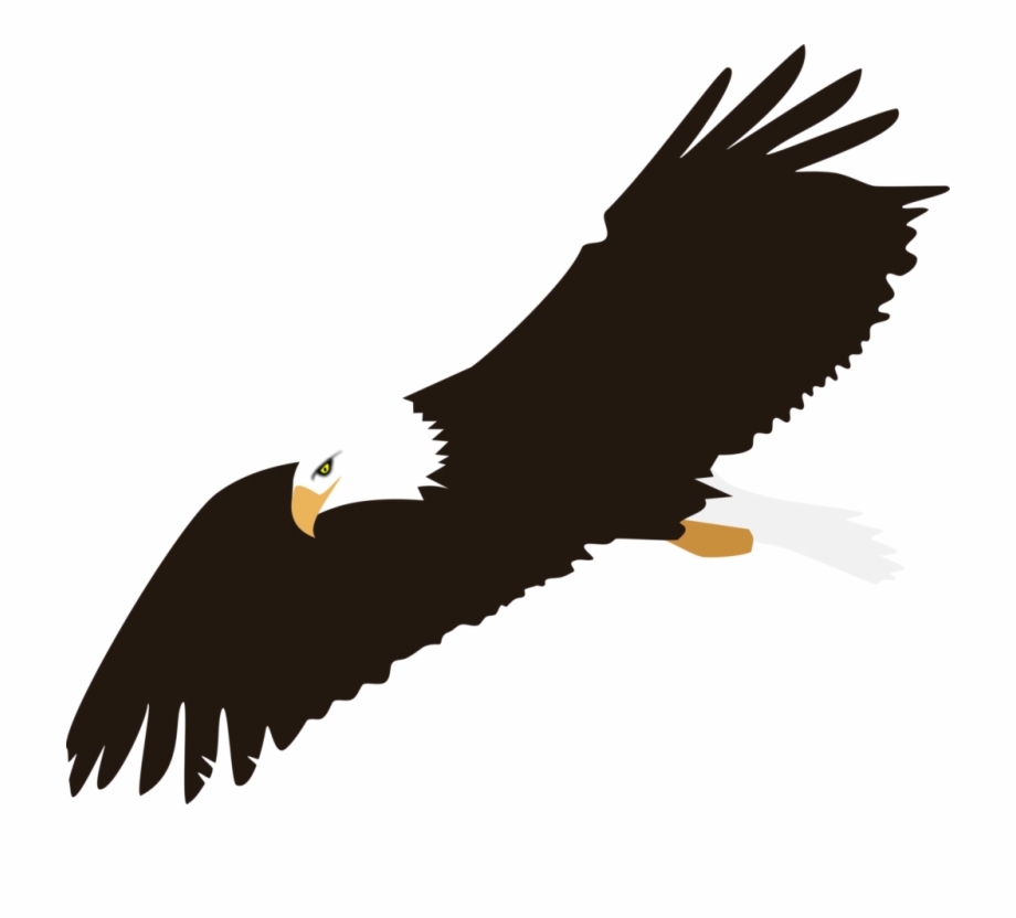 920x832 Soaring Bald Eagle Vector Clipart Clip Art