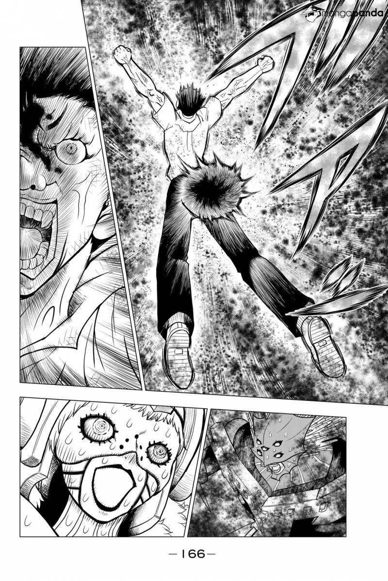 800x1197 Vector Ball