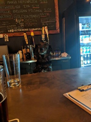 Vector Bar Arcade 300x400 Vector Bar Arcade