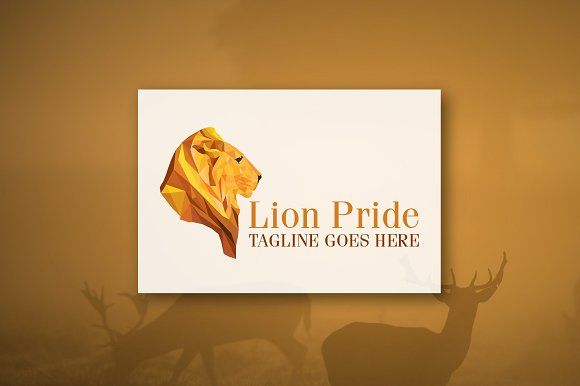 580x386 Lion Pride