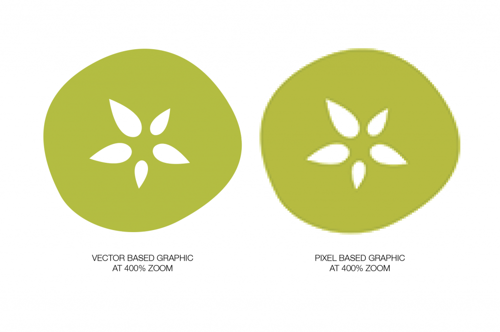 1024x681 The Difference Between Pixel And Vector Graphics