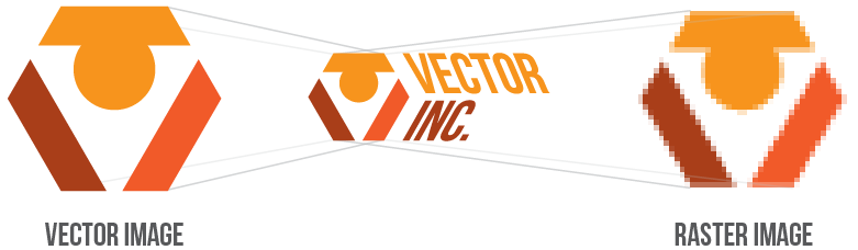 781x228 Vector Graphics What They Are And Why You Need Them For Your