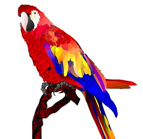 498x484 Vector Graphics Editors Reviewed Smashing Magazine