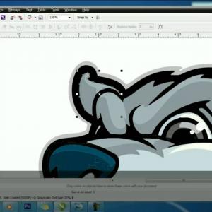 300x300 Welcome To Coreldraw A Comprehensive Vector Based Drawing