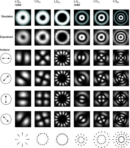 456x520 Tailoring Of Arbitrary Optical Vector Beams