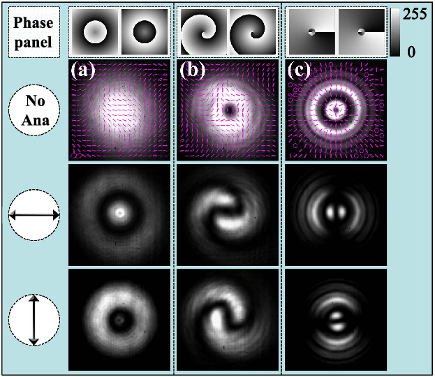 623x540 Vector Beams Generated With Different Phase Profiles