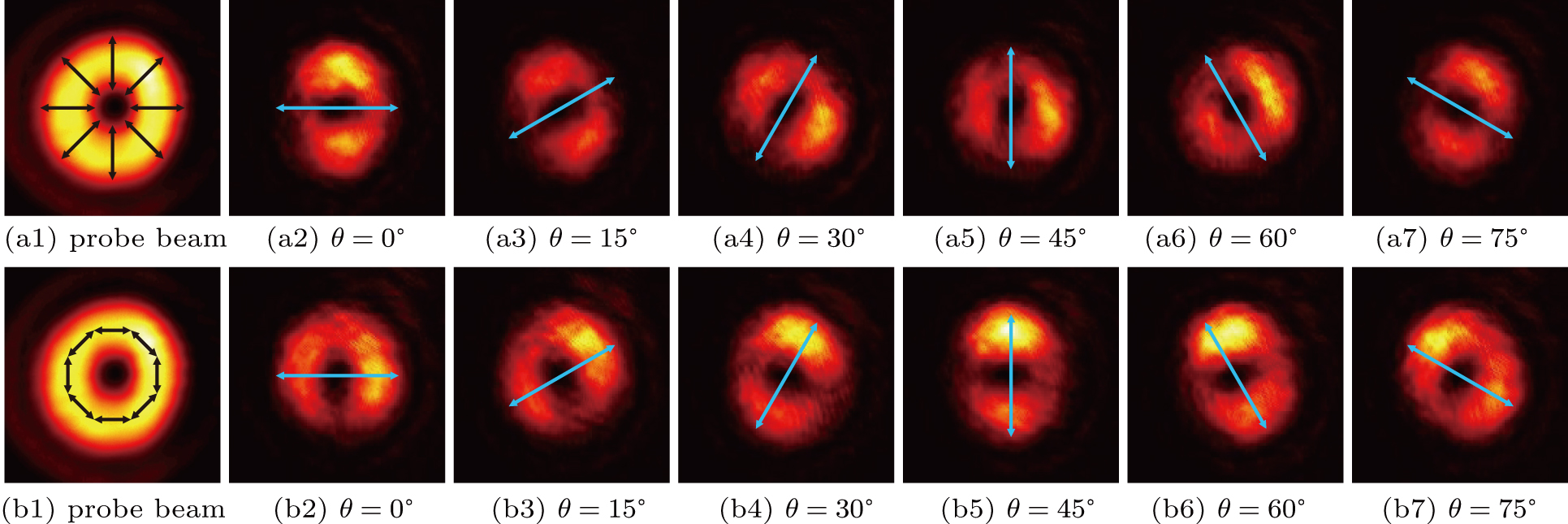 1931x645 Controllable Transmission Of Vector Beams In Dichroic Medium