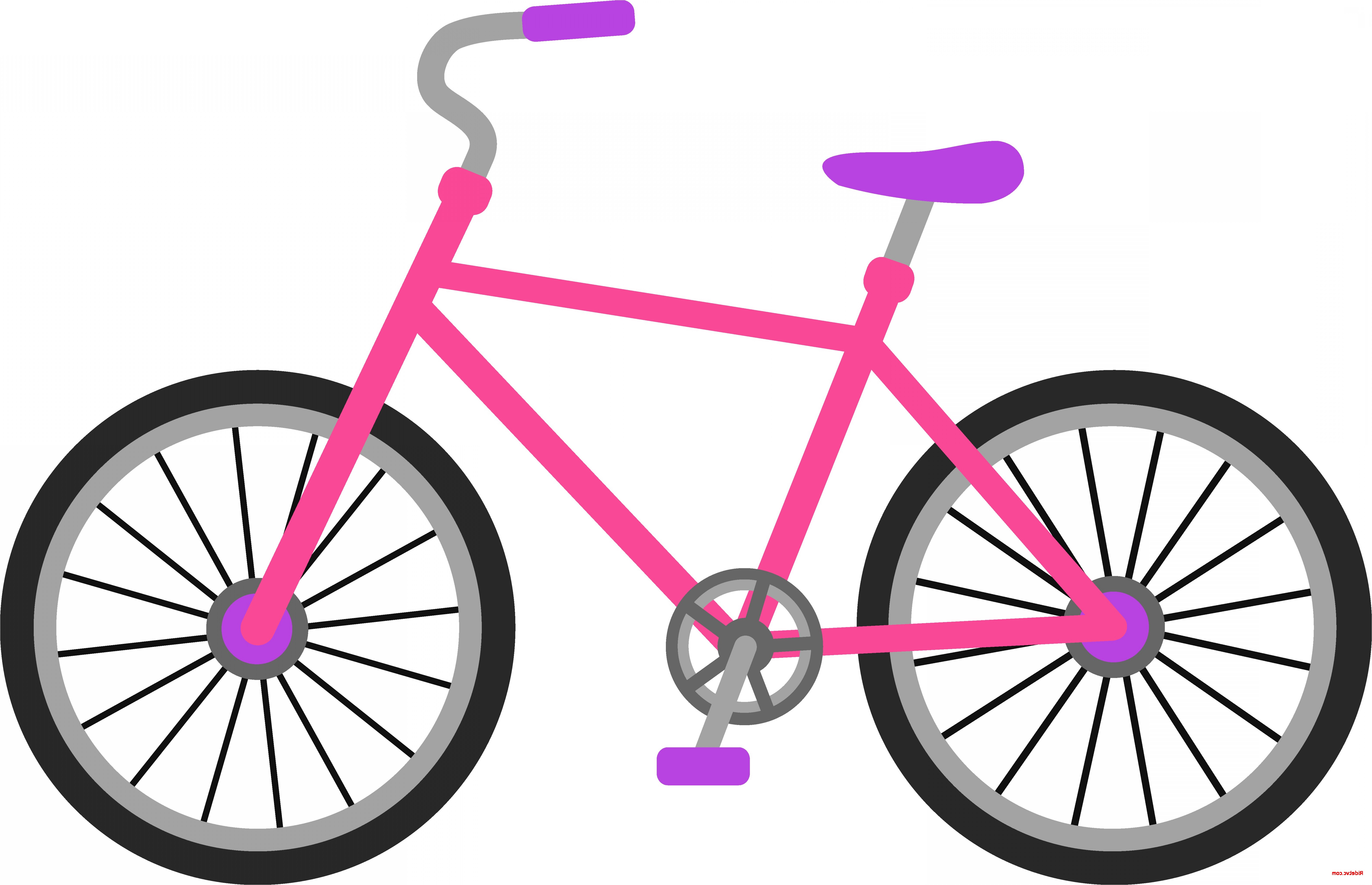 7566x4884 Bike Vector