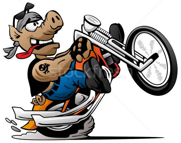 600x475 Biker Hog Popping A Wheelie On A Motorcycle Cartoon Vector