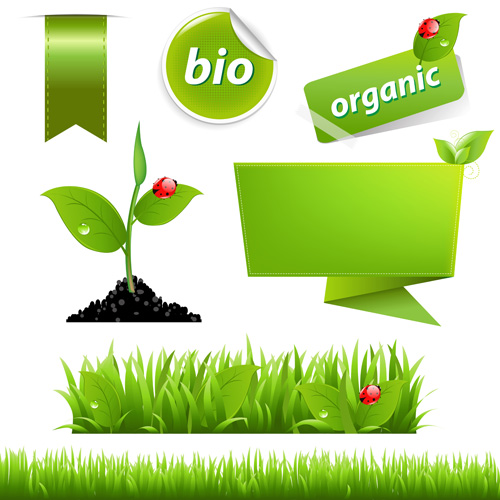 Eco With Bio Elements Of Stickers And Icon Vector Free Download 500x500 Eco With Bio Elements Of Stickers And Icon Vector Free Download